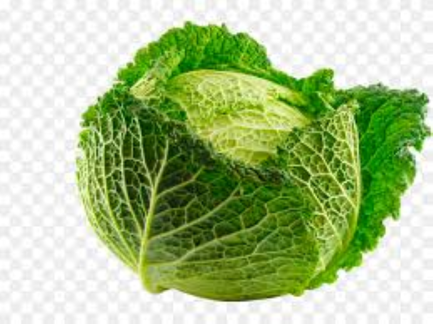 FRESH SAVOY CABBAGE